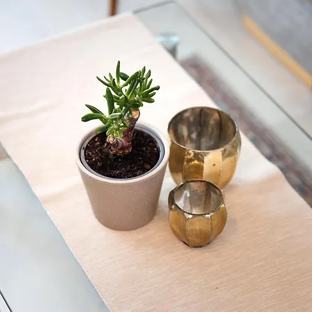 Gaestehaus Noller 3* 博德曼路德维希港